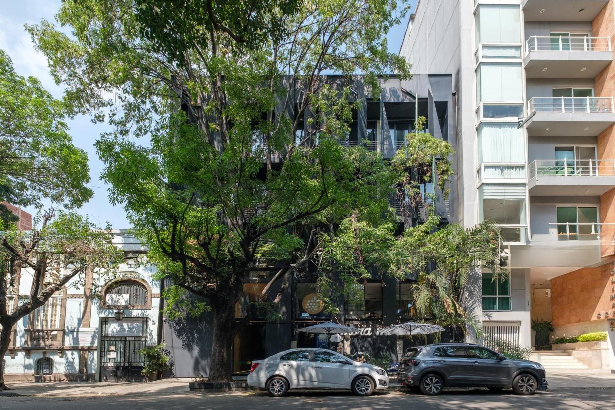 Hotel ULIV Colima Città del Messico Esterno foto